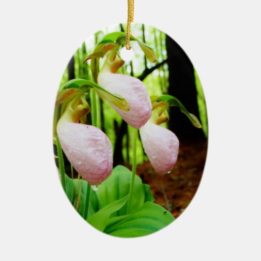 Roze Lady Slipper wild Orchid Keramisch Ornament (Voorkant)