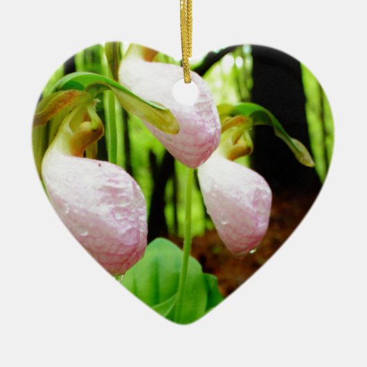 Roze Lady Slipper wild Orchid Keramisch Ornament (Voorkant)