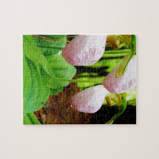 Roze Lady Slipper wild Orchid Legpuzzel (Horizontaal)