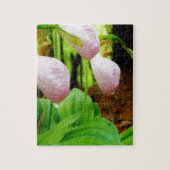 Roze Lady Slipper wild Orchid Legpuzzel (Verticaal)