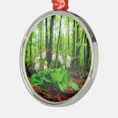 Roze Lady Slipper wild Orchid Metalen Ornament (Links)