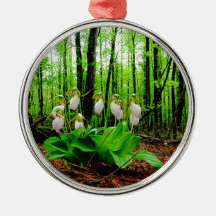 Roze Lady Slipper wild Orchid Metalen Ornament