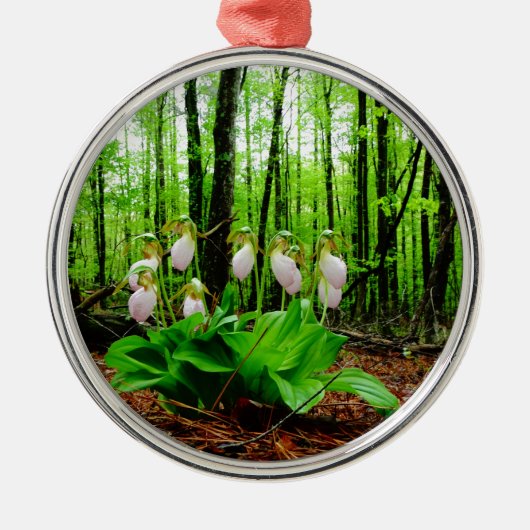 Roze Lady Slipper wild Orchid Metalen Ornament (Voorkant)