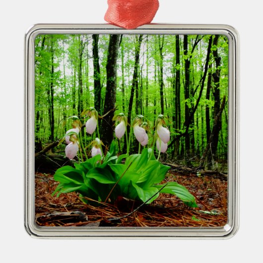 Roze Lady Slipper wild Orchid Metalen Ornament (Voorkant)