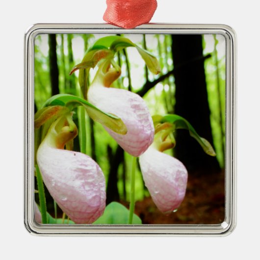 Roze Lady Slipper wild Orchid Metalen Ornament (Voorkant)