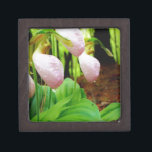 Roze Lady Slipper wild Orchid Premium Cadeau Doosje<br><div class="desc">Roze Lady Slipper wild-orchidee Foto van Sandy Closs,  genomen bij Lake Arrowiad Ga. Licht roze slippervorm met donkerdere roze aderen. Gevonden wild groeien in de bossen,  onder enkele pijnbomen roze bloemorchideeën bloemfloraalbloemigen bruiloft natuur sympathie lentebos roos</div>