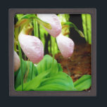 Roze Lady Slipper wild Orchid Premium Juwelen Doos<br><div class="desc">Roze Lady Slipper wild-orchidee Foto van Sandy Closs,  genomen bij Lake Arrowiad Ga. Licht roze slippervorm met donkerdere roze aderen. Gevonden wild groeien in de bossen,  onder enkele pijnbomen roze bloemorchideeën bloemfloraalbloemigen bruiloft natuur sympathie lentebos roos</div>