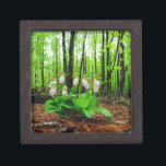 Roze Lady Slipper wild Orchid Premium Juwelen Doos<br><div class="desc">Roze Lady Slipper wild-orchidee Foto van Sandy Closs,  genomen bij Lake Arrowiad Ga. Licht roze slippervorm met donkerdere roze aderen. Gevonden wild groeien in de bossen,  onder enkele pijnbomen roze bloemorchideeën bloemfloraalbloemigen bruiloft natuur sympathie lentebos roos</div>