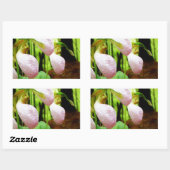 Roze Lady Slipper wild Orchid Rechthoekige Sticker (Vel)