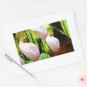 Roze Lady Slipper wild Orchid Rechthoekige Sticker (Envelop)