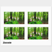 Roze Lady Slipper wild Orchid Rechthoekige Sticker (Vel)