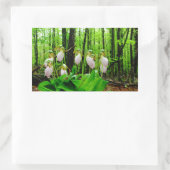 Roze Lady Slipper wild Orchid Rechthoekige Sticker (Tas)