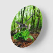 Roze Lady Slipper wild Orchid Ronde Klok (Hoek)