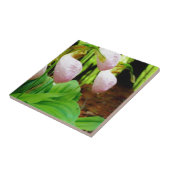 Roze Lady Slipper wild Orchid Tegeltje (Zijkant)