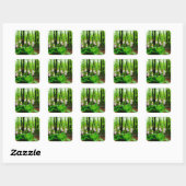 Roze Lady Slipper wild Orchid Vierkante Sticker (Vel)