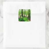 Roze Lady Slipper wild Orchid Vierkante Sticker (Tas)