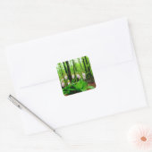 Roze Lady Slipper wild Orchid Vierkante Sticker (Envelop)
