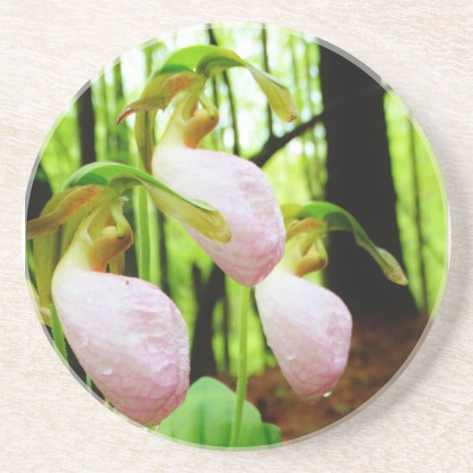 Roze Lady Slipper wild Orchid Zandsteen Onderzetter (Voorkant)