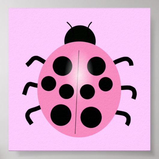 roze ladybug poster (Voorkant)