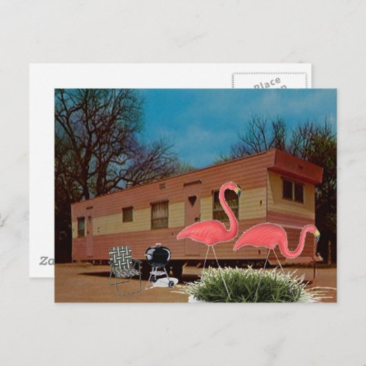 Roze lamingos briefkaart (Voorkant / Achterkant)