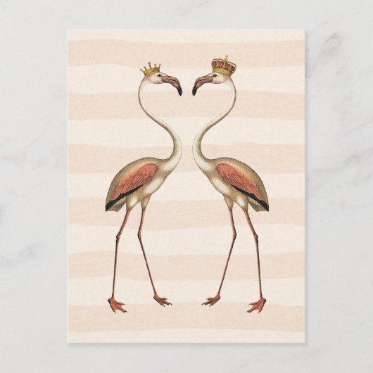 Roze lamingos in Crowns Briefkaart (Voorkant)
