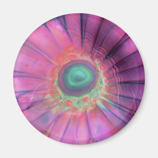 Roze Lampwork Glas Daisy Blank Trippy Magnet (Voorkant)