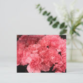  roze landingbloemen briefkaart (Staand voorkant)