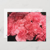  roze landingbloemen briefkaart (Voorkant / Achterkant)