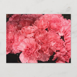 roze landingbloemen briefkaart