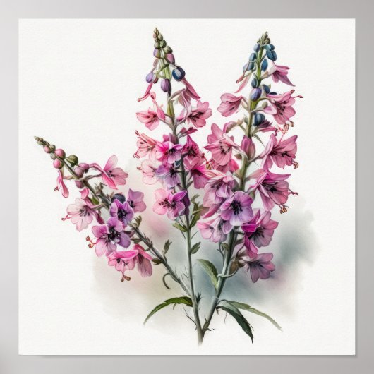 Roze Larkspur Flower Art Print Poster (Voorkant)