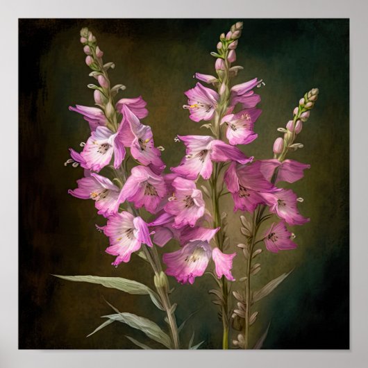 Roze Larkspur Flower Art Print Poster (Voorkant)