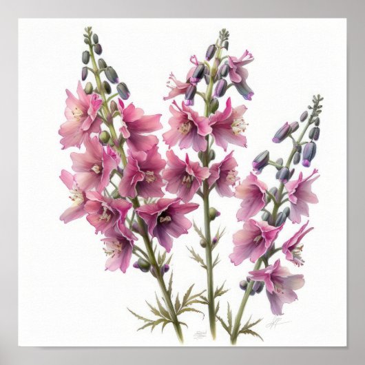 Roze Larkspur Flower Art Print Poster (Voorkant)