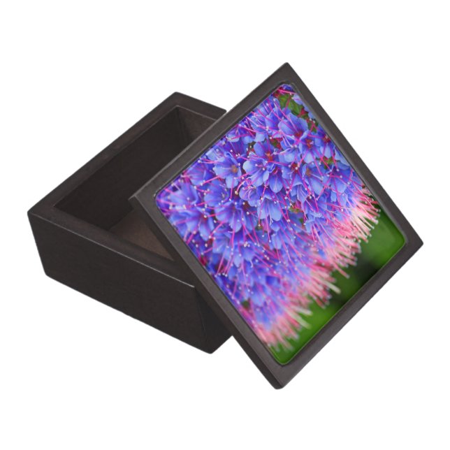 Roze lashes Premium Gift Box Premium Juwelen Doos (Geopend)