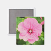 Roze Lavatera Magneet (Voorkant / Achterkant)
