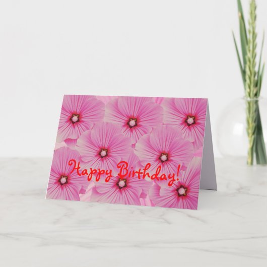 Roze Lavatera Verjaardag Kaart (Voorkant)