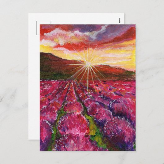 Roze Lavendel Veld Frankrijk Provence Feestdagenkaart (Voorkant / Achterkant)