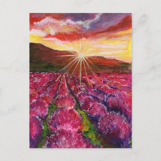 Roze Lavendel Veld Frankrijk Provence Feestdagenkaart (Voorkant)