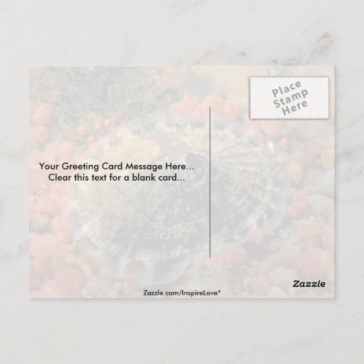 Roze ledemaat (Diodora aspera) Shell Briefkaart (Achterkant)