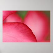 Roze lef poster (Voorkant)