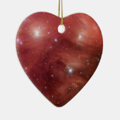 Roze leiades Infrarood SSC2007 07b Keramisch Ornament (Rechts)