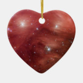 Roze leiades Infrarood SSC2007 07b Keramisch Ornament (Voorkant)