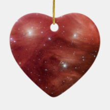 Roze leiades Infrarood SSC2007 07b