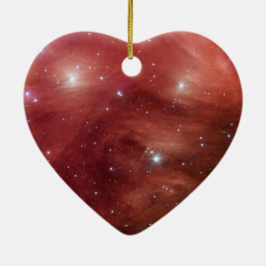 Roze leiades Infrarood SSC2007 07b Keramisch Ornament (Achterkant)