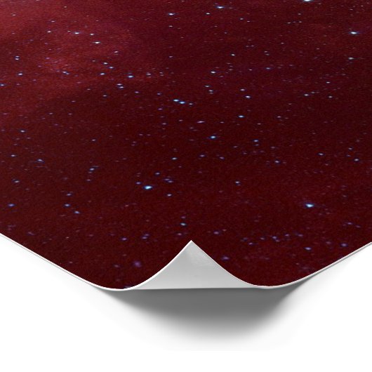 Roze leiades Infrarood SSC2007 07b Poster (Hoek)