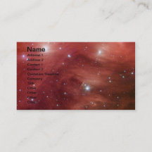 Roze leiades Infrarood SSC2007 07b