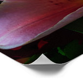 ROZE LEILIEBLOEM POSTER (Hoek)