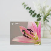 Roze lelie ansichtkaart briefkaart (Staand voorkant)