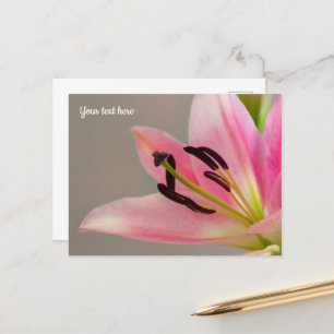 Roze lelie ansichtkaart briefkaart