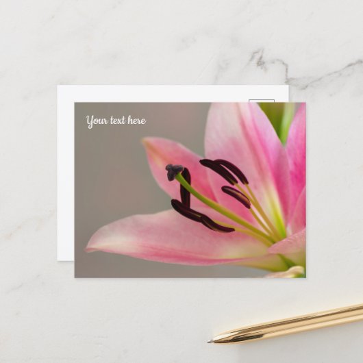 Roze lelie ansichtkaart briefkaart (Voorkant / Achterkant in situ)