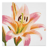 Roze Lelie Bloem | Waterverf Bloemschildering Perfect Poster (Voorkant)